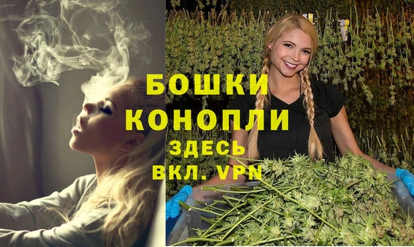 бошки Алзамай