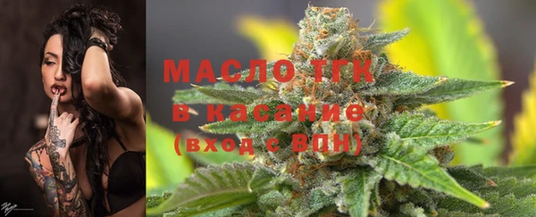 стаф Абаза