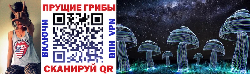 купить закладку  Грайворон  Псилоцибиновые грибы GOLDEN TEACHER 